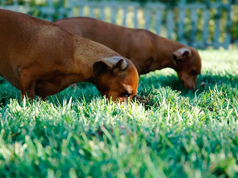 sudoku challenge mode screenshot 3